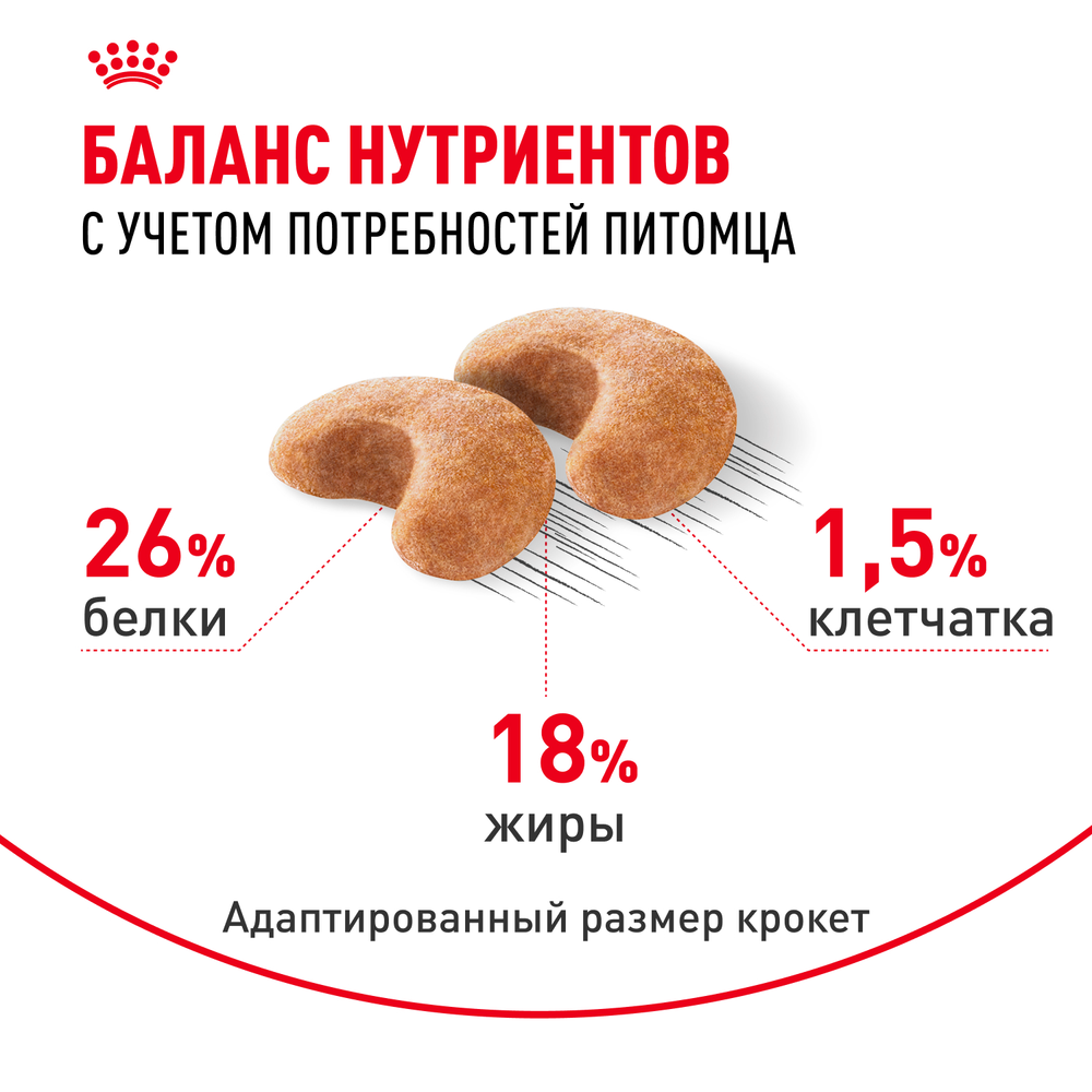 Royal Canin French Bulldog Adult (Французский Бульдог Эдалт) Корм сухой для собак от 12 месяцев породы Французский Бульдог 3кг