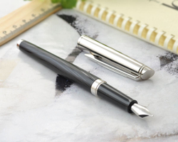 Перьевая ручка Waterman Hemisphere Deluxe, цвет: Silky CT, перо: F