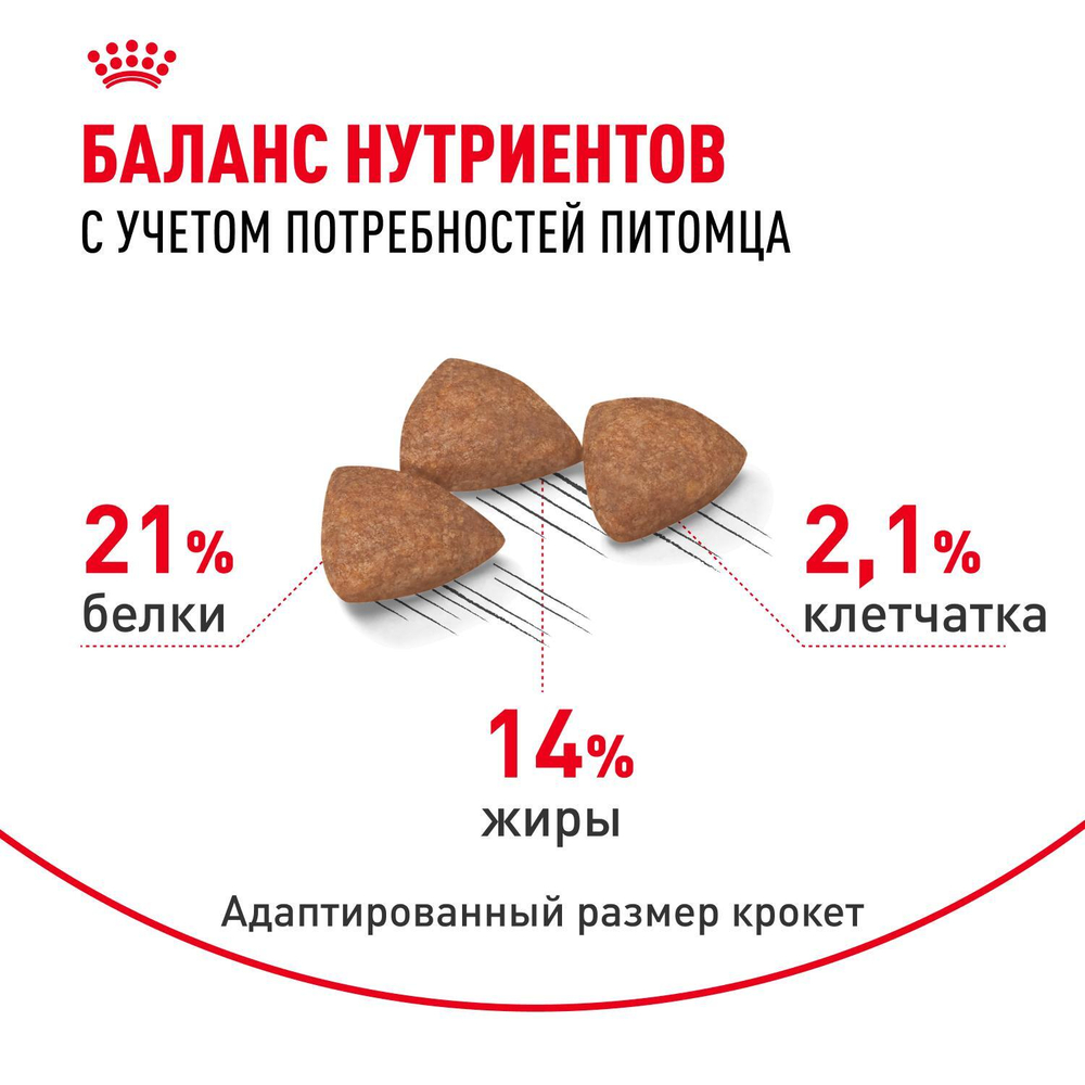 Royal Canin Mini Indoor Adult Мини Индор Эдалт Корм сухой для взрослых собак мелких пород в возрасте от 10 месяцев живущих в помещении 500г