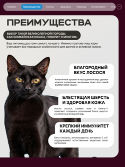 Корм сухой для взрослых кошек породы Бомбейская кошка, с лососем, 5 кг, QUATTRO