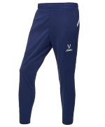 Брюки тренировочные DIVISION PerFormDRY Pro Training Pants, темно-синий