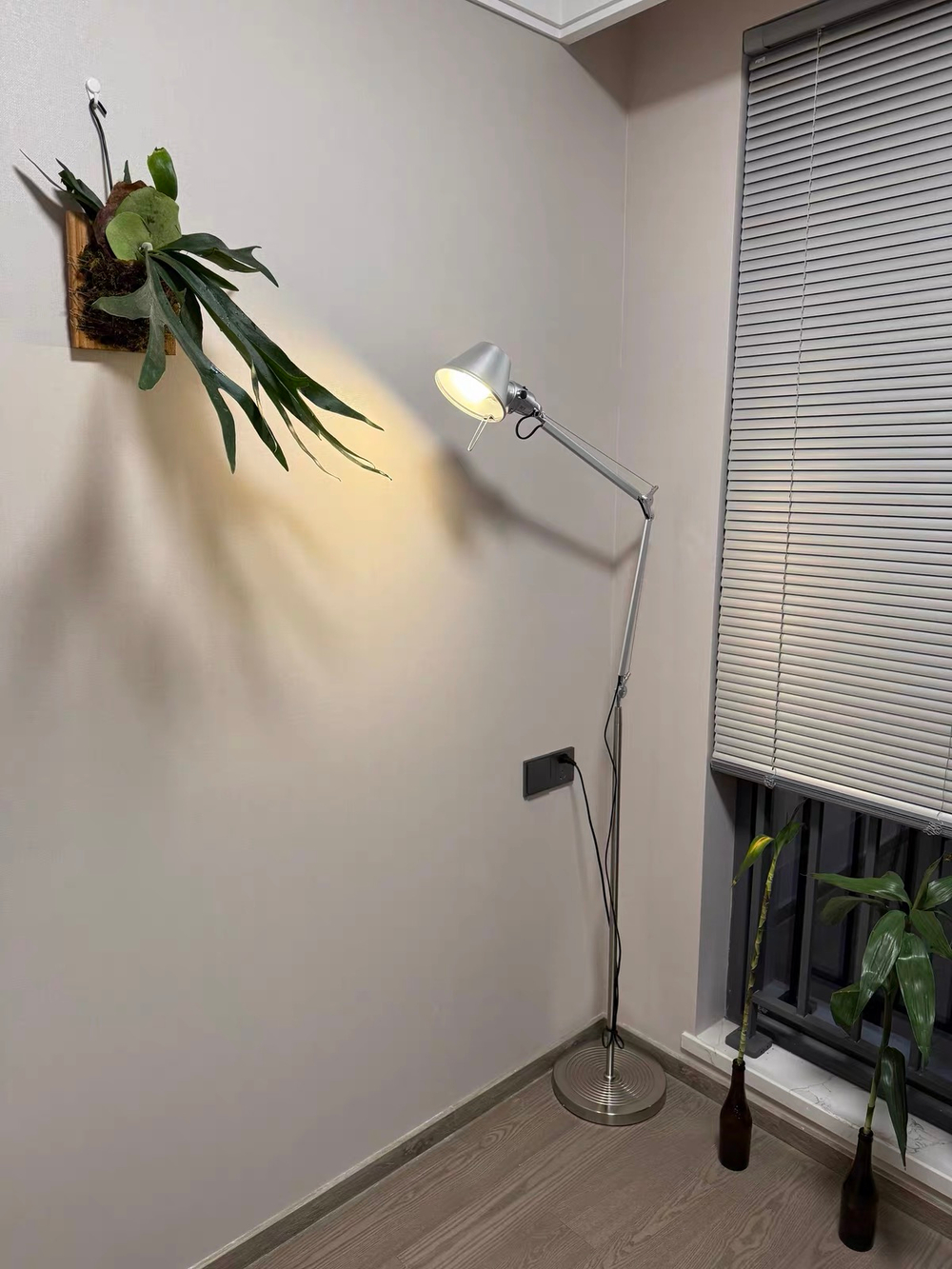 Floor design lamp Tolomeo Micro by Artemide