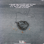 The Amity Affliction / Misery (LP)