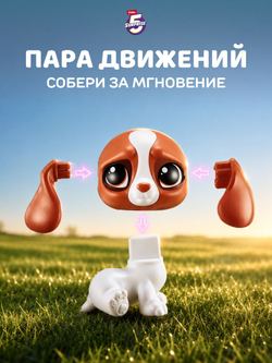 чачача