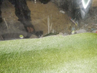 DSCN9710.jpg