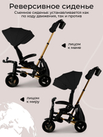 Велосипед трехколесный Qplay S700-17 SPRINTER SL Black (Rub/Gold)