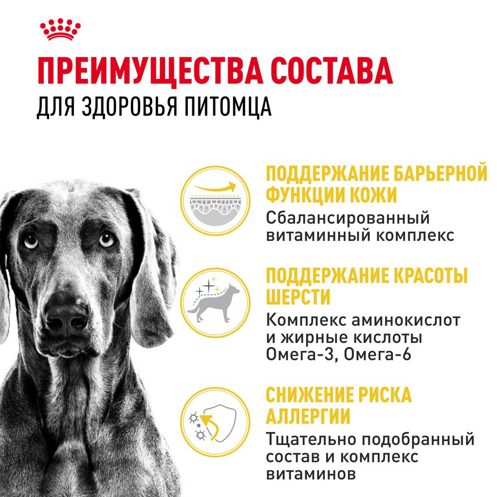 Сухой корм Royal Canin Maxi Dermacomfort для взрослых собак крупных размеров при раздражениях и зуде кожи