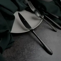 Нож столовый 23,5 см матовый черный цвет PVD Alessi-Black P.L. [12]