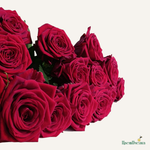 Фон карточки (75).png