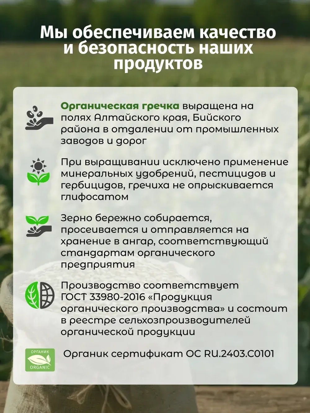 Крупа гречневая непропаренная (зеленая) органическая, 1 кг