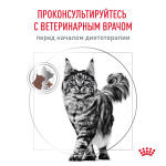 Royal Canin Gastrointestinal Hairball Корм сухой диетический для взрослых кошек 400 г