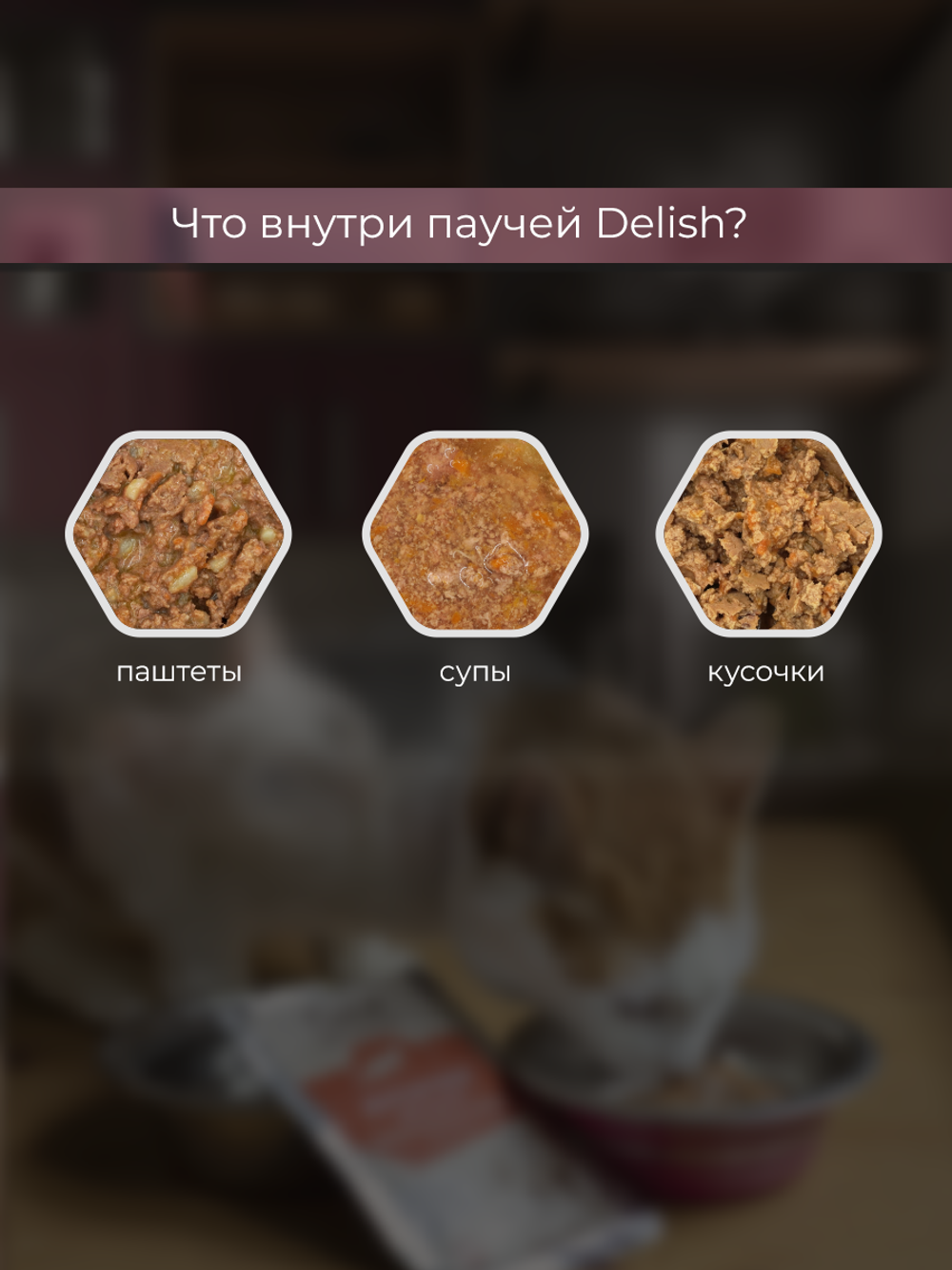 НАБОР Консервы DELISH Super Premium для кошек, индейка/овощи/клюква - 10 шт х 80 гр