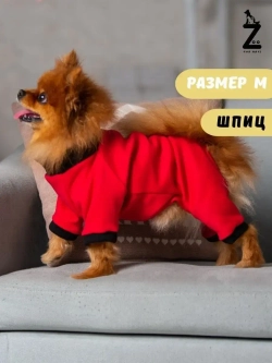 Комбинезон для собак
