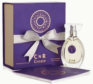 CnR Create Gemini