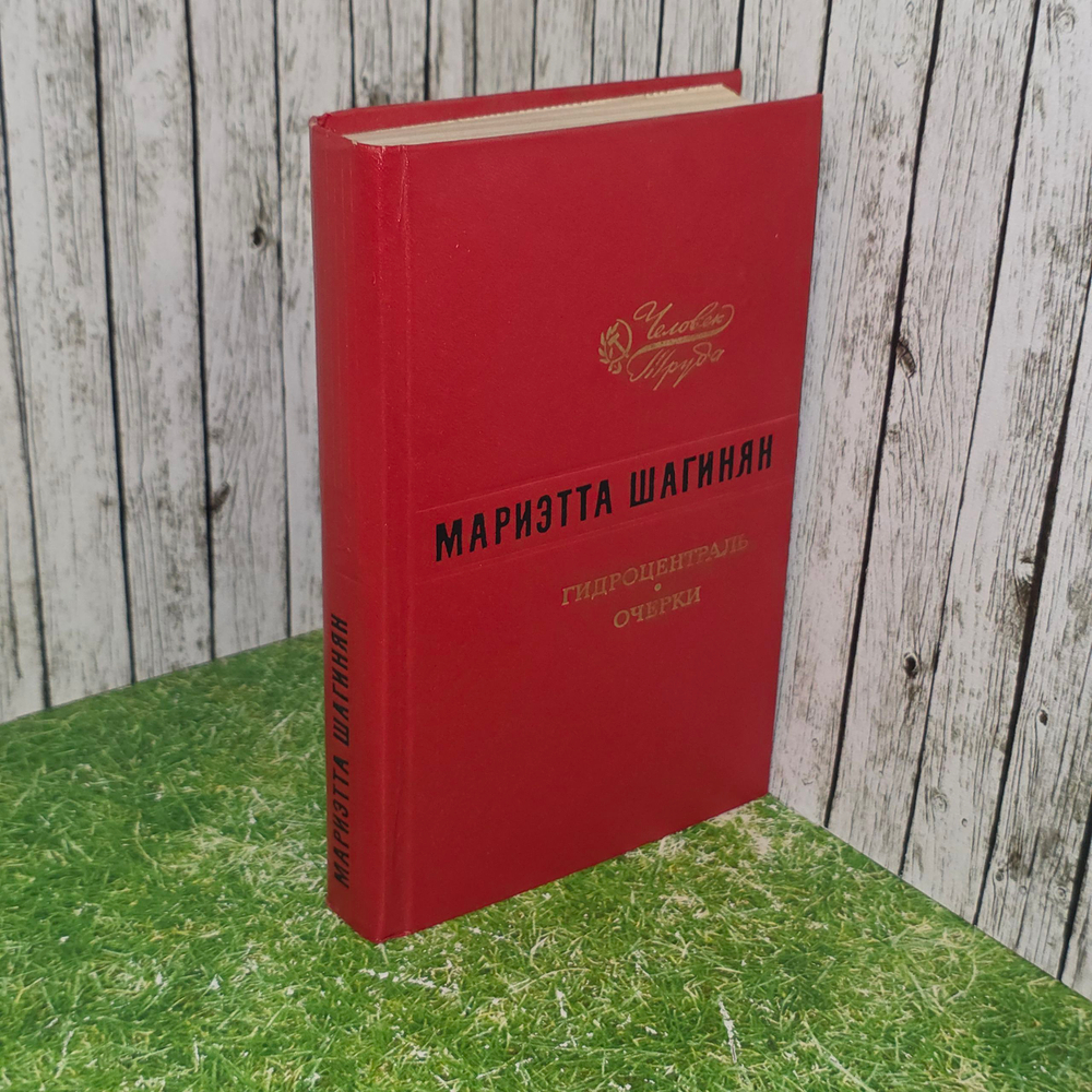 книга " Гидроцентраль. Очерки "