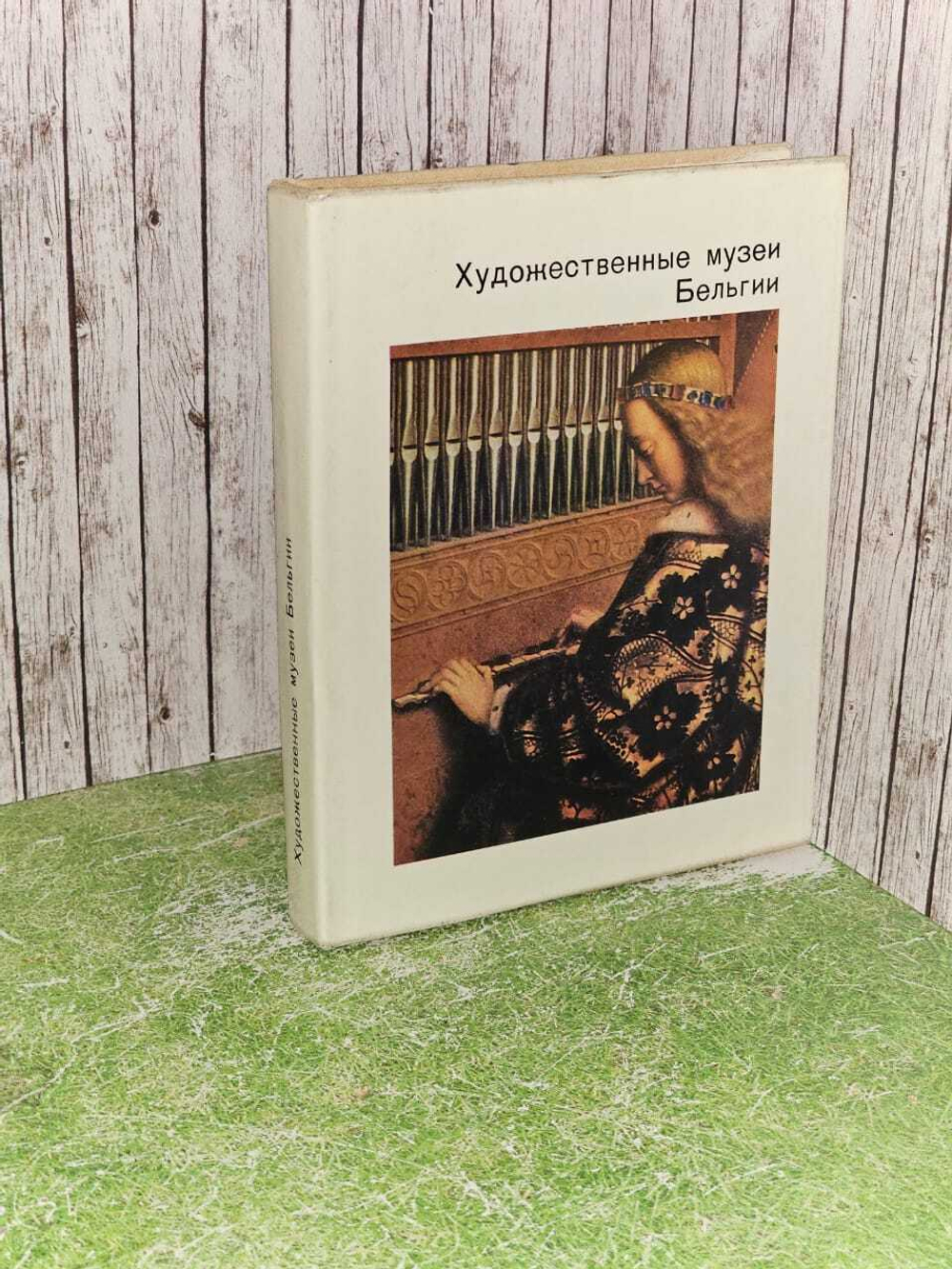Художественные музеи Бельгии. Седова Татьяна Александровна