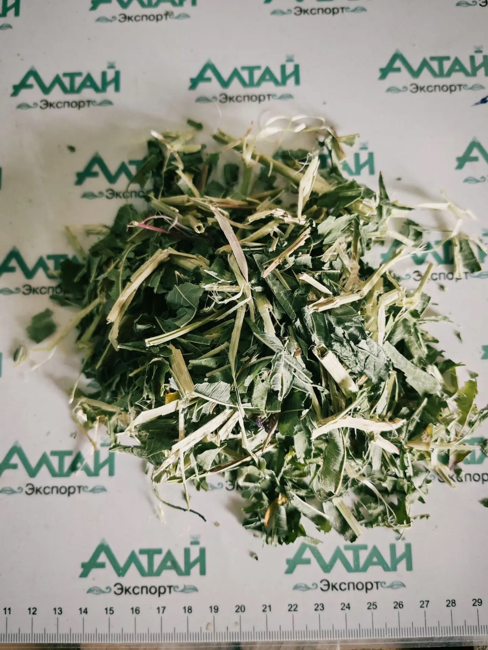 Кипрей узколистный (лист, побег) Алтай