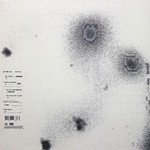 Nine Inch Nails / Bad Witch (LP)