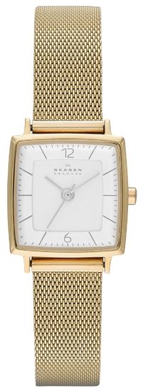 Наручные часы Skagen SKW2218
