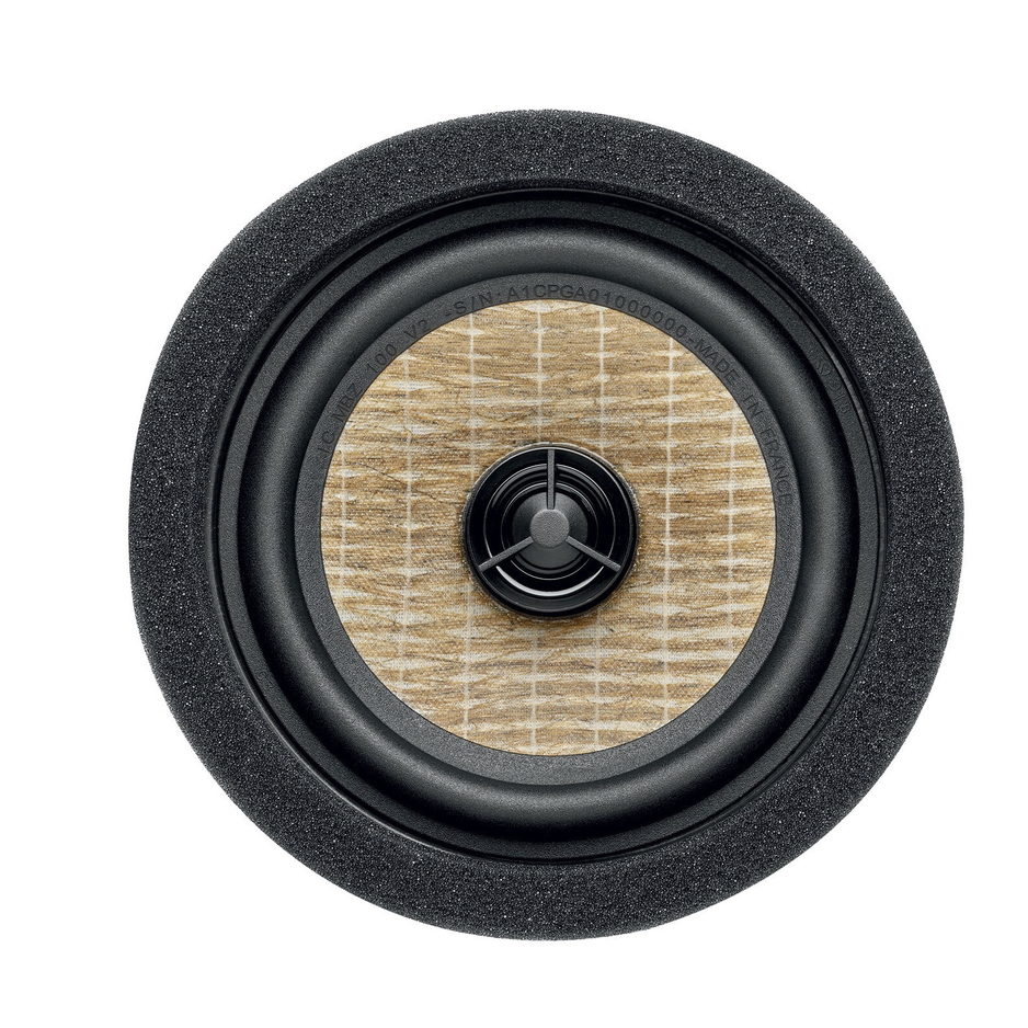 Focal IC MBZ100 V2
