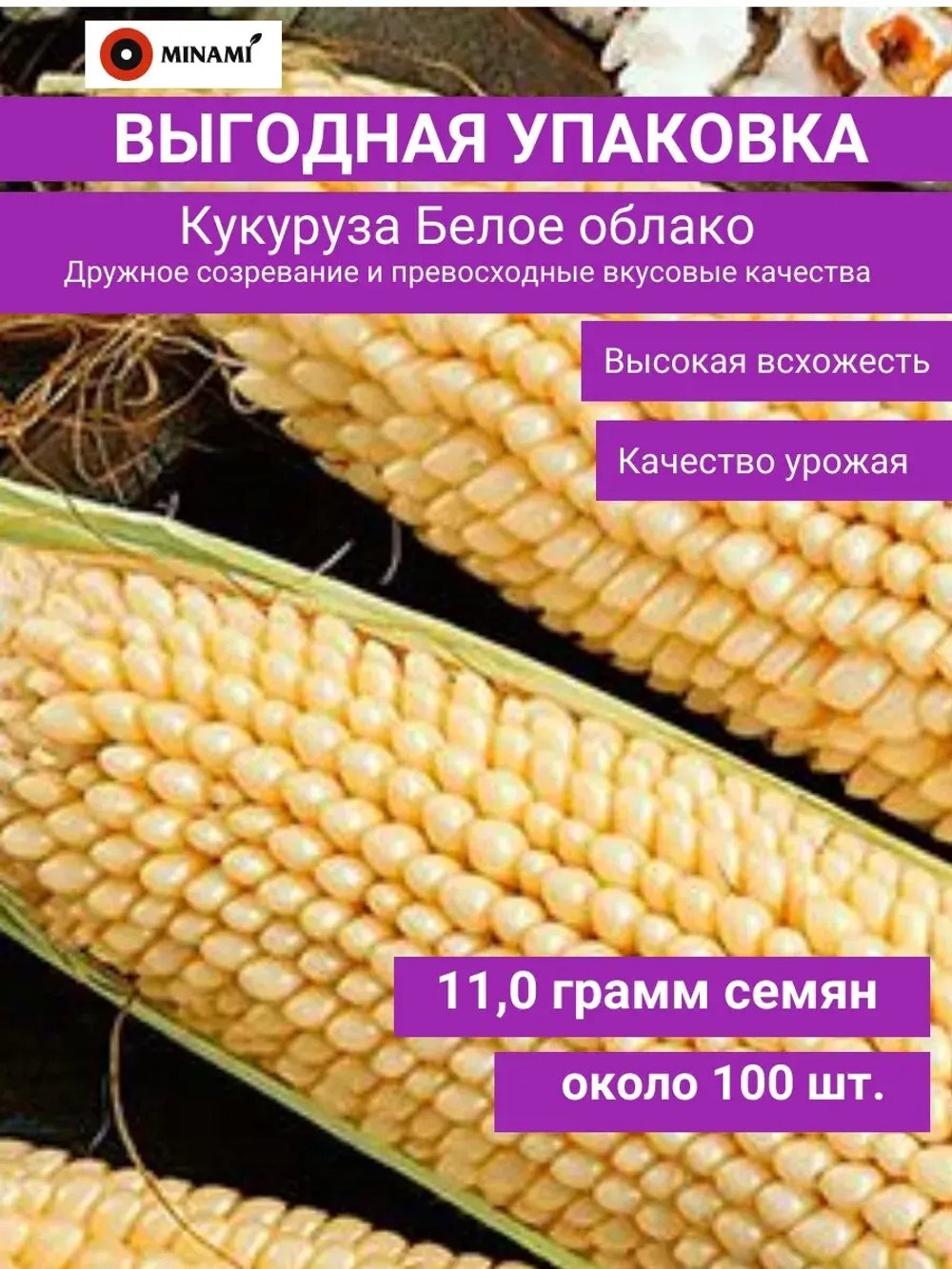 Кукуруза сахарная попкорн Белое Облако 11гр.