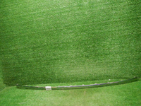 DSCN0142.JPG