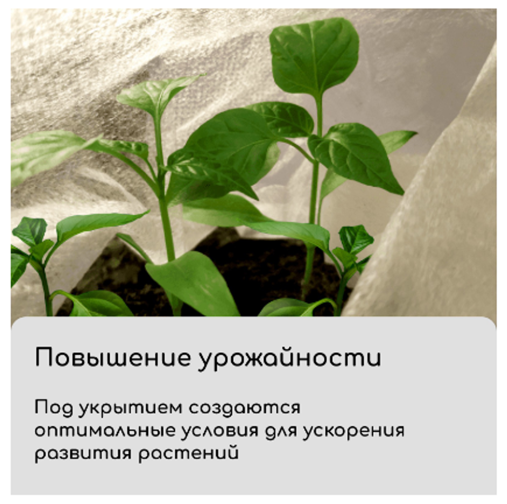 Материал укрывной, 10 × 3.2 м, плотность 60, с УФ-стабилизатором, белый, Greengo, Эконом 20 %