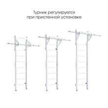 Домашний спортивный комплекс ROMANA Эко 2.1 (белый)