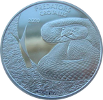 Конго 20 франков 2020 Гремучая змея Rattlesnake Хищники BU Серебро