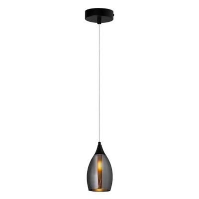Подвесной светильник Arte Lamp BARRY A7951SP-1BK, 1хE14