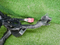 DSCN7147.jpg