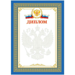 Диплом А4 мелованный картон (Спейс)