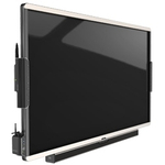 Интерактивная панель D3 G098-100GL 98