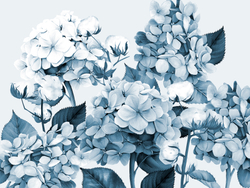 HERBARIUM 6