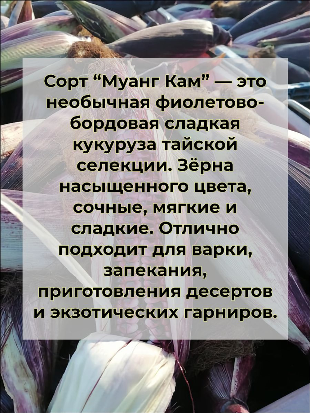 Кукуруза клейкая Муанг Кам семена 10 штук