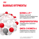 Royal Canin Maxi Adult Макси Эдалт Корм сухой для взрослых собак крупных размеров от 15 месяцев до 5 лет 15 кг