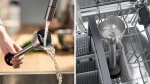 Блендер Bosch MSM4B6V2