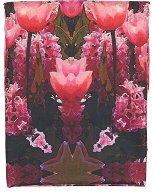 LIGVIANNI Палантин Scarf
