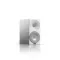 Amphion Argon0 + WiiM AMP + AudioQuest SLIP-DB 14/2