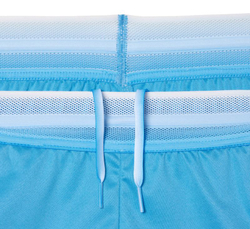 Теннисные шорты Lacoste Tennis X Daniil Medvedev Shorts