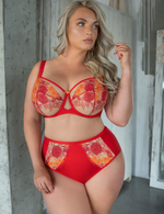 Трусы Kris Line Sweetheart слипы Hight Waist (красный/оранжевый)