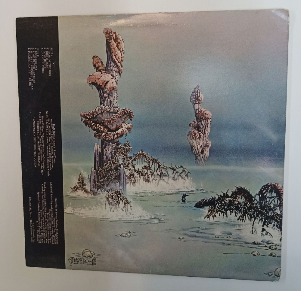 Винтажная виниловая пластинка LP Nazareth Hair Of The Dog (US 1976)
