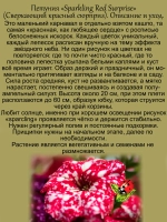 Петуния Спарклинг Ред Сюрпрайз