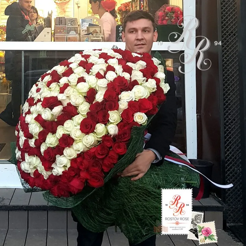 301 Голландская роза