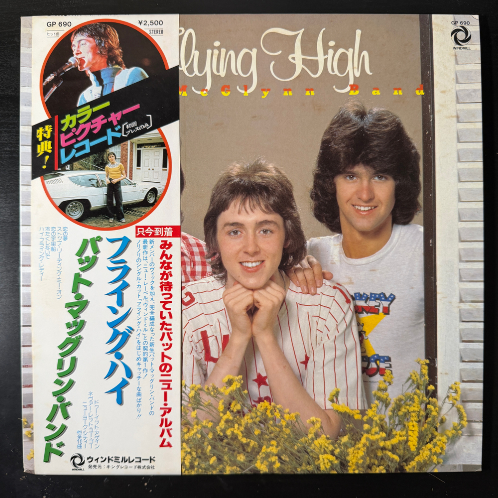 Виниловая пластинка The Pat McGlynn Band ‎– Flying High LP Picture