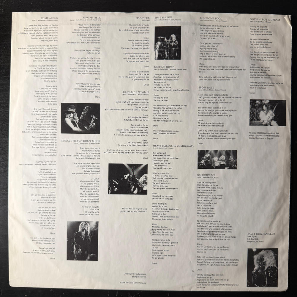 Salty Dog ‎– Every Dog Has Its Day (Германия 1990г.)