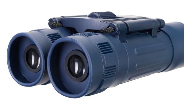Бинокль Levenhuk Discovery Basics BB 10x25