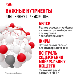 Royal Canin Savour Exigent Корм сухой сбалансированный для привередливых взрослых кошек от 1 года - 0,4 кг