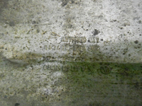 DSCN2726.JPG