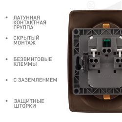 Розетка ЭРА Серия 12 12-2108-13 2X2P+E Schuko со шторками 16A-250В IP20 бронза | Эра 12